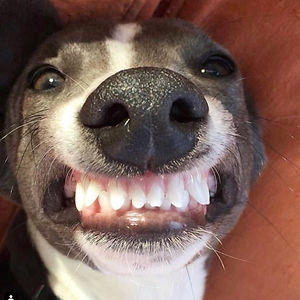 donnapaine214 avatar