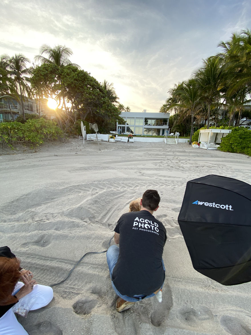We Took Pictures Of A Doggo In The Beach While The Sun Was Setting