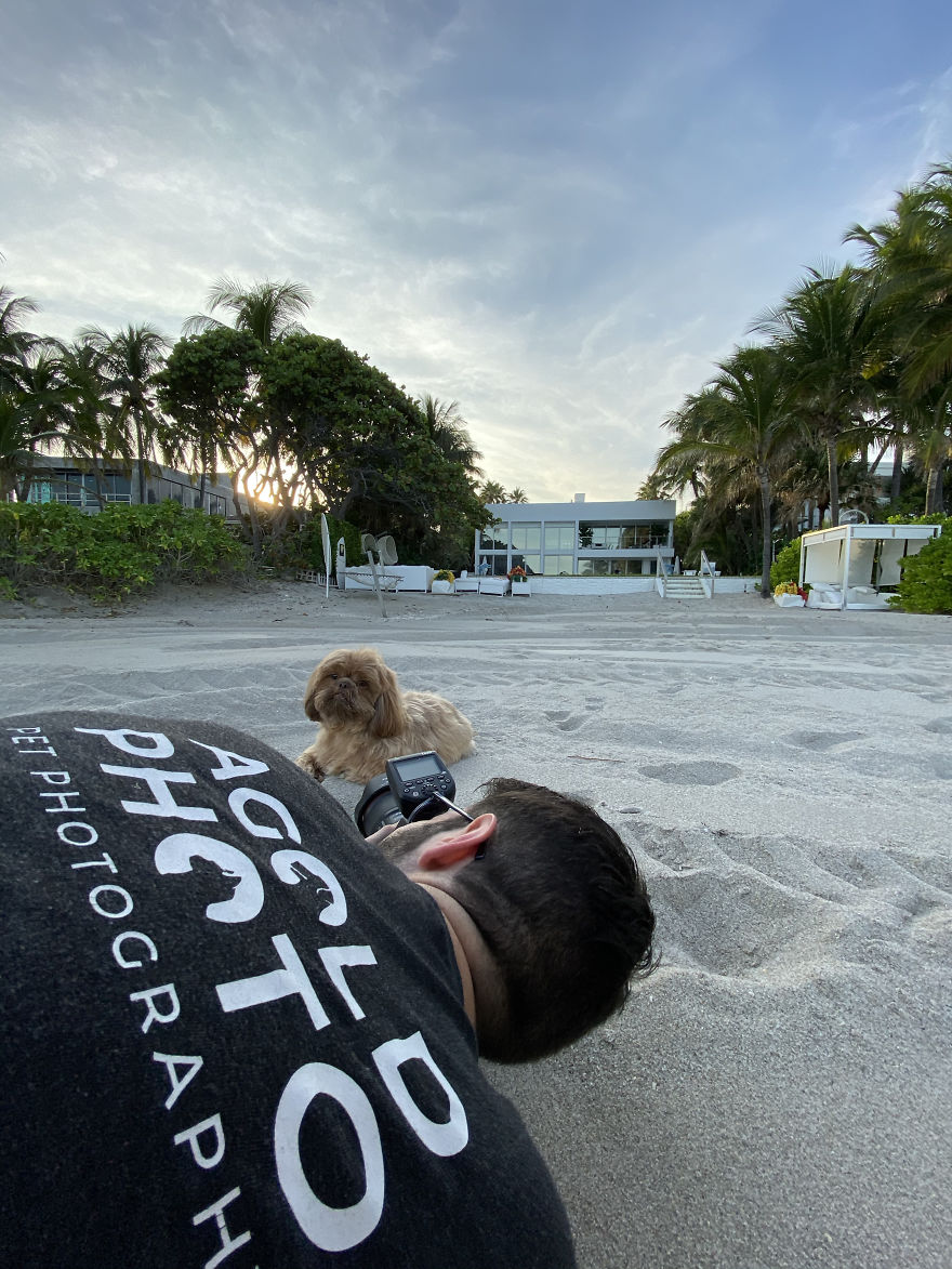 We Took Pictures Of A Doggo In The Beach While The Sun Was Setting
