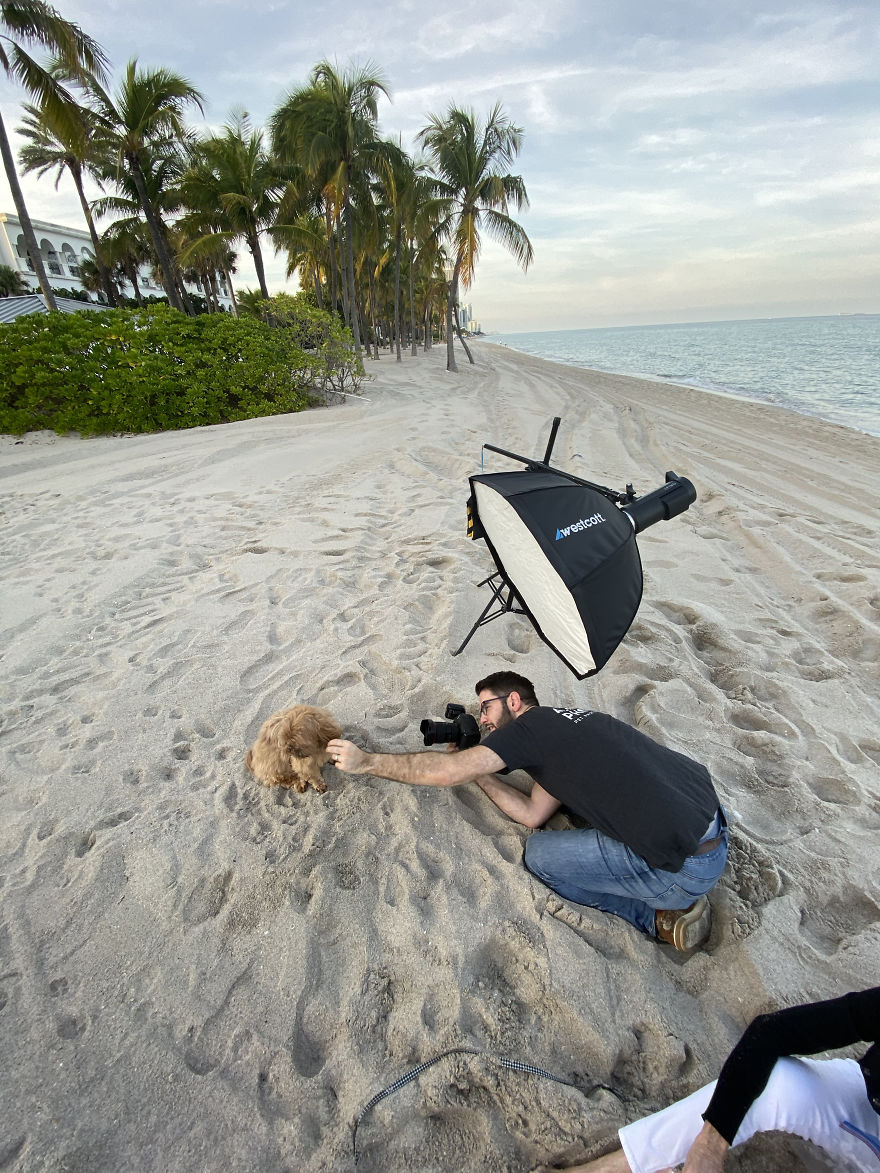 We Took Pictures Of A Doggo In The Beach While The Sun Was Setting We Took Pictures Of A Doggo In The Beach While The Sun Was Setting