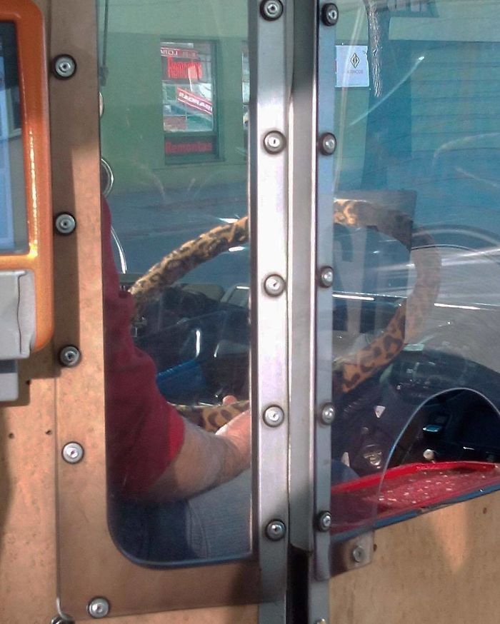 Humans-Of-Trolleybuses