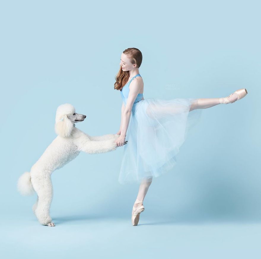 Dancers & Dogs Playfully Share The Spotlight In A New Photography Book