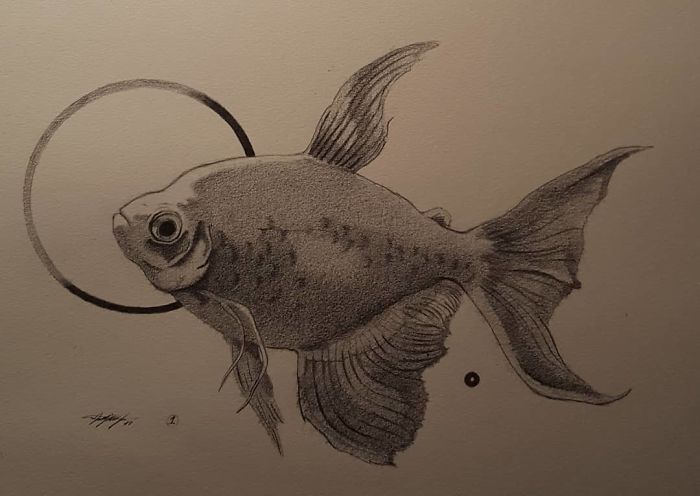 Betta Fish Study 1. I Love These Guys. ♡
#illustration #charcoal #artist #guitarists #bettafish
