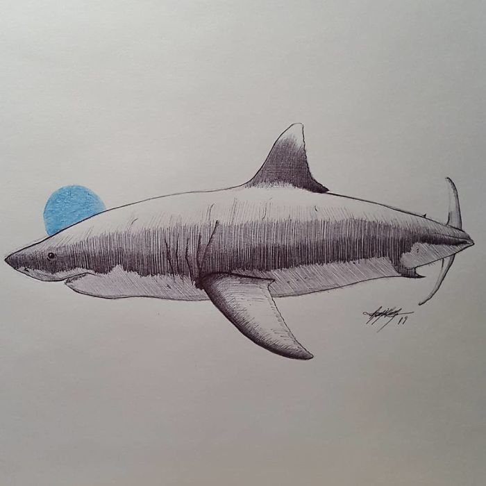 Study Of A Great White, 2. 🦈🦈 Pen And Ink, 5 X 7 Inches
#illustration #charcoal #artist #guitarists #pendrawings
#sharks