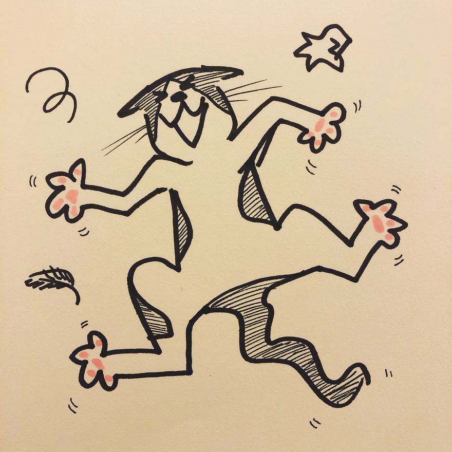 Unconventional Cat Toys