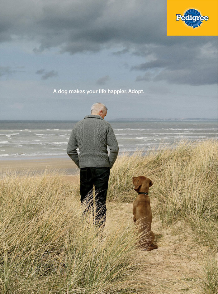Ad Campaigns Tell How A Dog Can Transform A Person's Life (16 Pics) Ad Campaigns Tell How A Dog Can Transform A Person's Life (16 Pics)