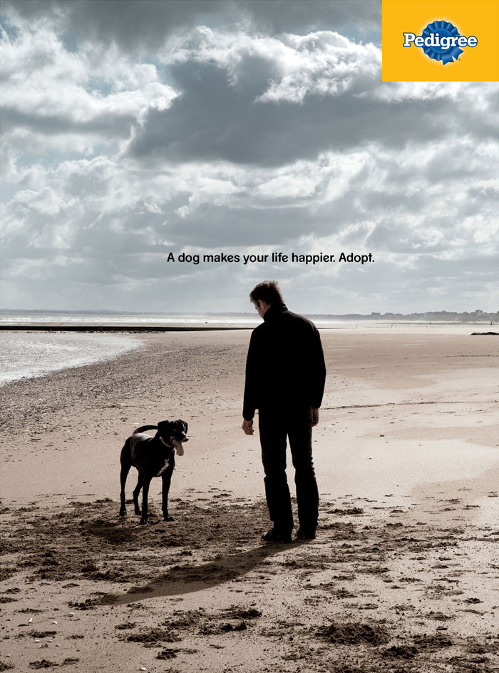 Ad Campaigns Tell How A Dog Can Transform A Person's Life (16 Pics)