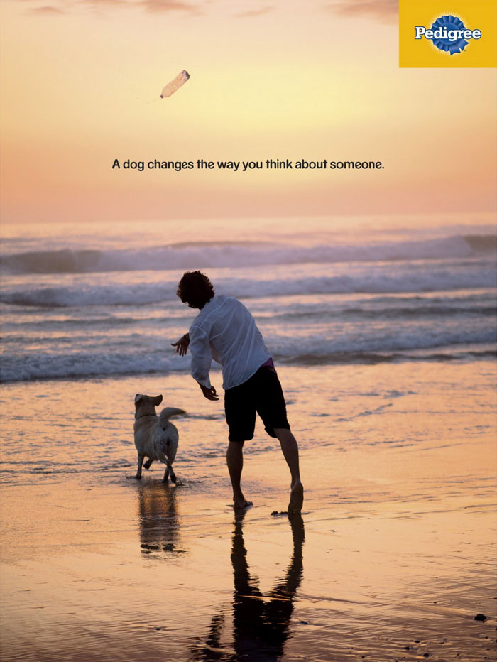 Ad Campaigns Tell How A Dog Can Transform A Person's Life (16 Pics) Ad Campaigns Tell How A Dog Can Transform A Person's Life (16 Pics)