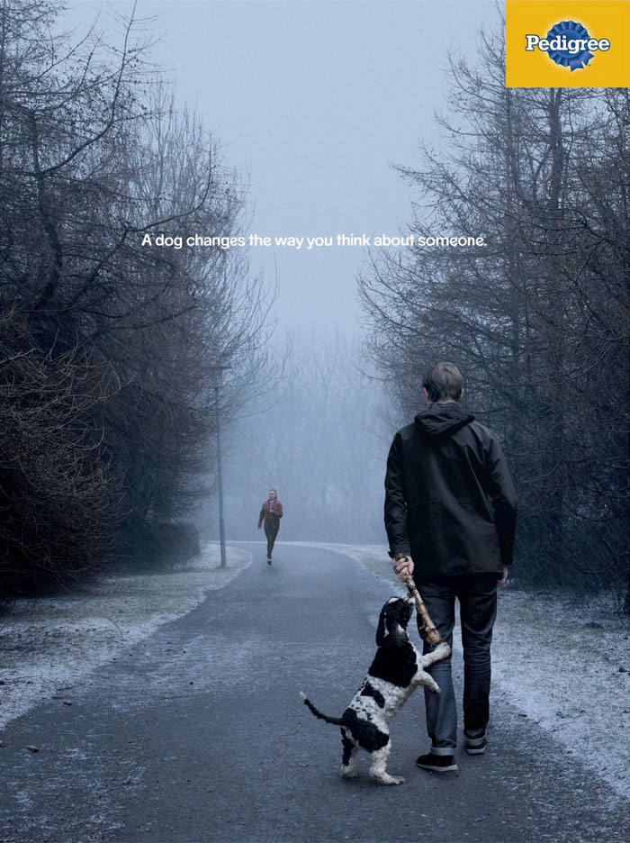 Ad Campaigns Tell How A Dog Can Transform A Person's Life (16 Pics)