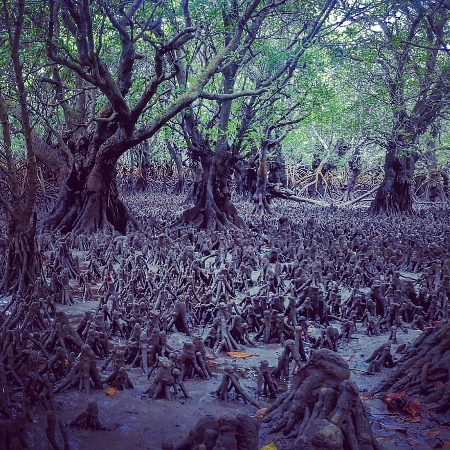Welcome To The 'Perfume Islands,' One Of The Most Beautiful Yet Least Visited Countries In The World Welcome To The 'Perfume Islands,' One Of The Most Beautiful Yet Least Visited Countries In The World