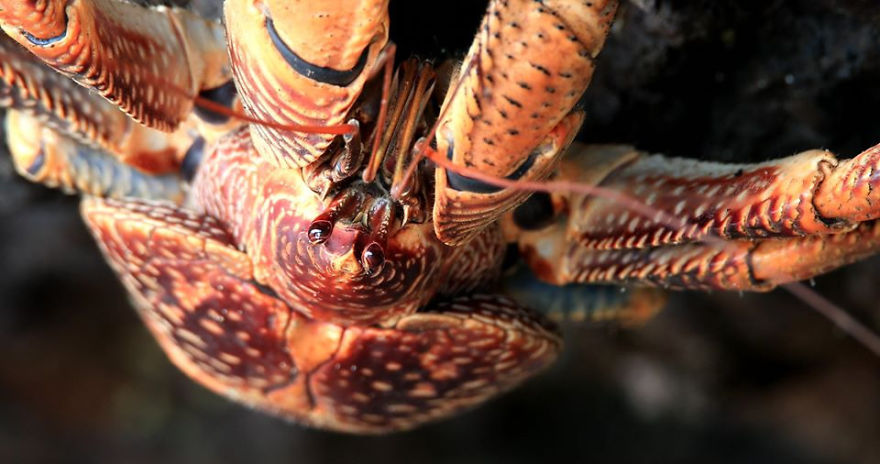 Welcome To The 'Perfume Islands,' One Of The Most Beautiful Yet Least Visited Countries In The World Welcome To The 'Perfume Islands,' One Of The Most Beautiful Yet Least Visited Countries In The World