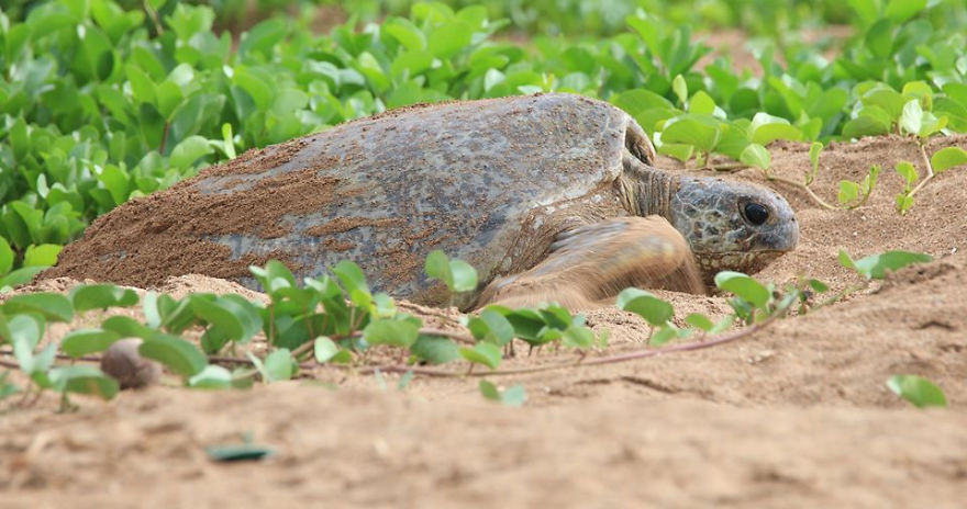Welcome To The 'Perfume Islands,' One Of The Most Beautiful Yet Least Visited Countries In The World