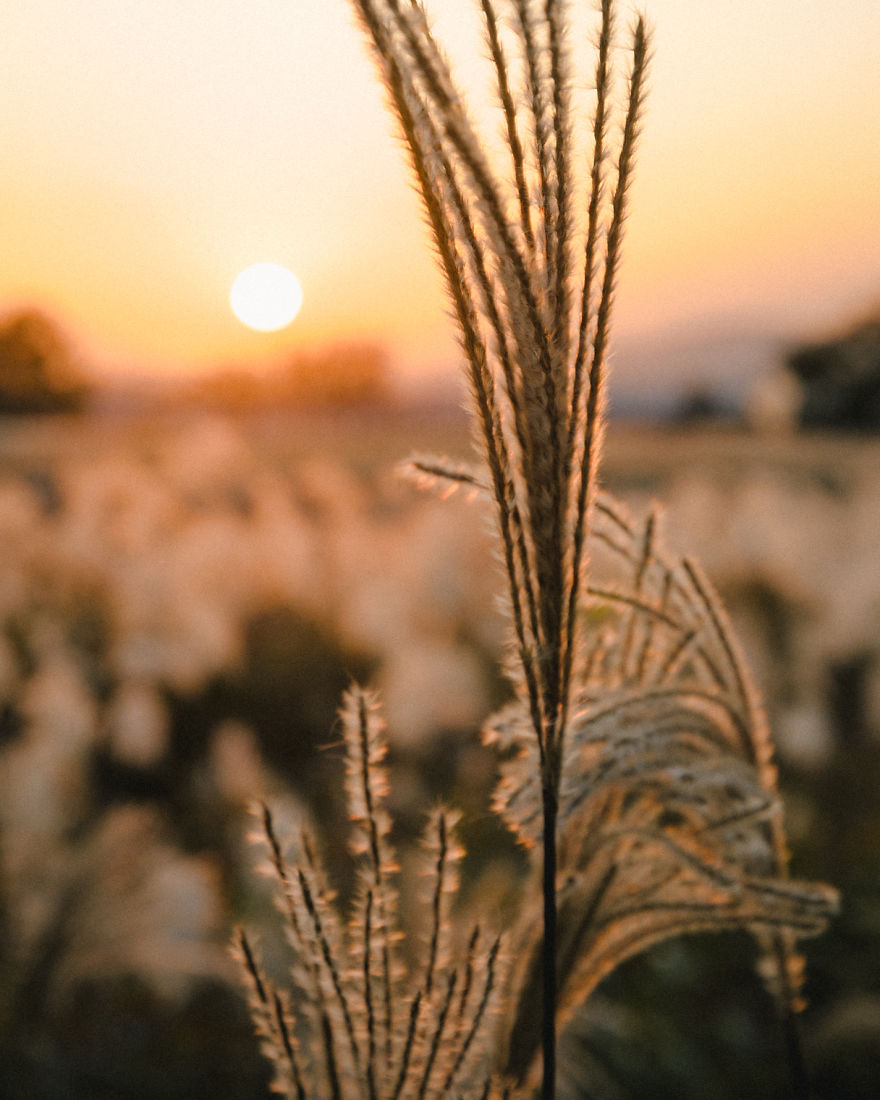 After Three Years From My First Time In Korea, I Moved To Seoul To Change My Life