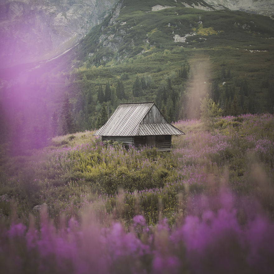 Gasięnicowa Valley - Tatra Mountains, Poland