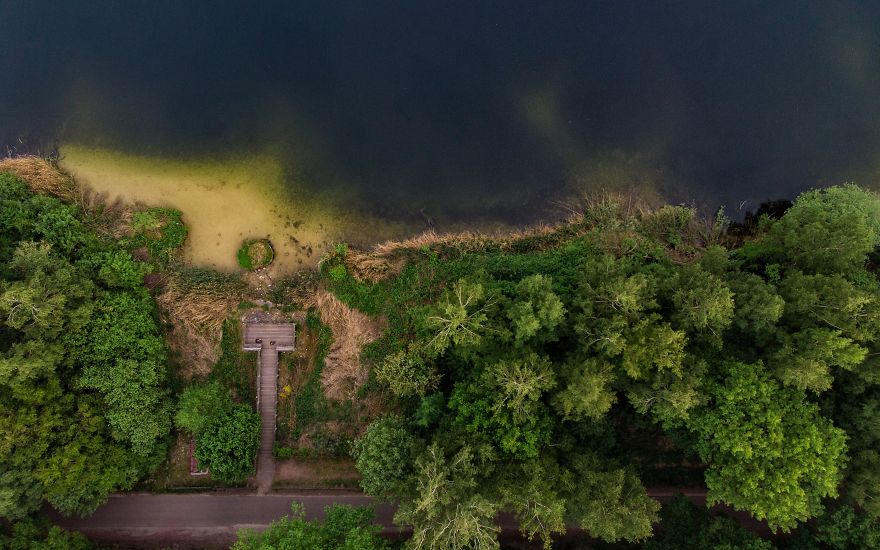 Water, Nature And A Forest