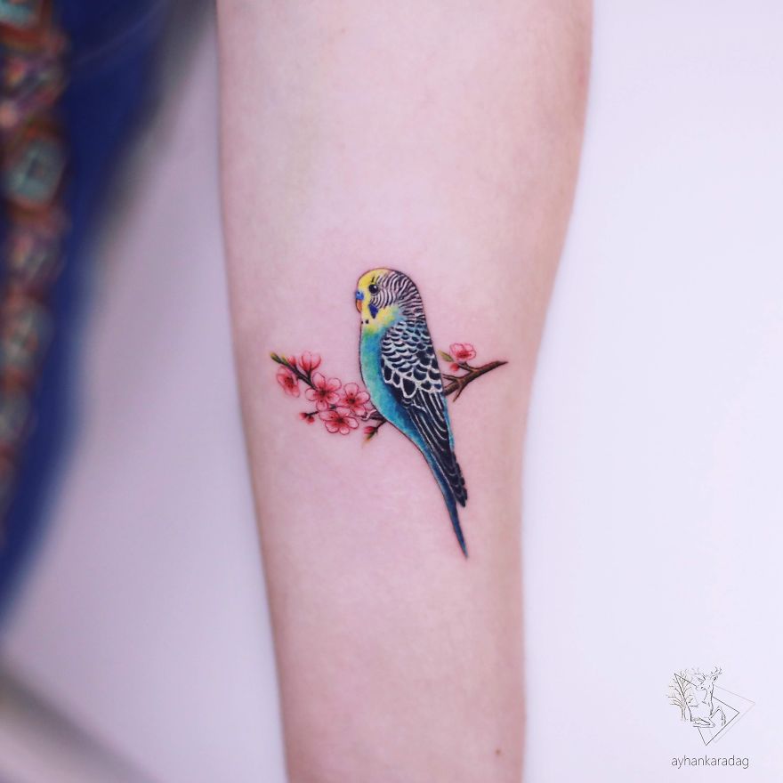 Colorful parakeet and cherry blossom tattoo on arm, showcasing intricate skin artwork.