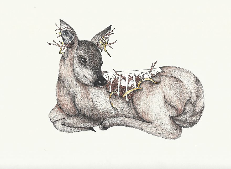 The Killing Of A Sacred Deer