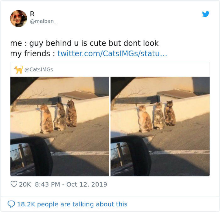 Funny-Tweets-By-Women