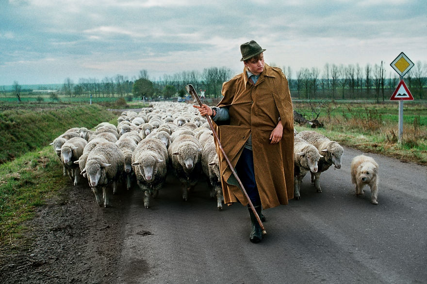 The Special Bond Between Humans And Animals Portrayed By Steve Mccurry