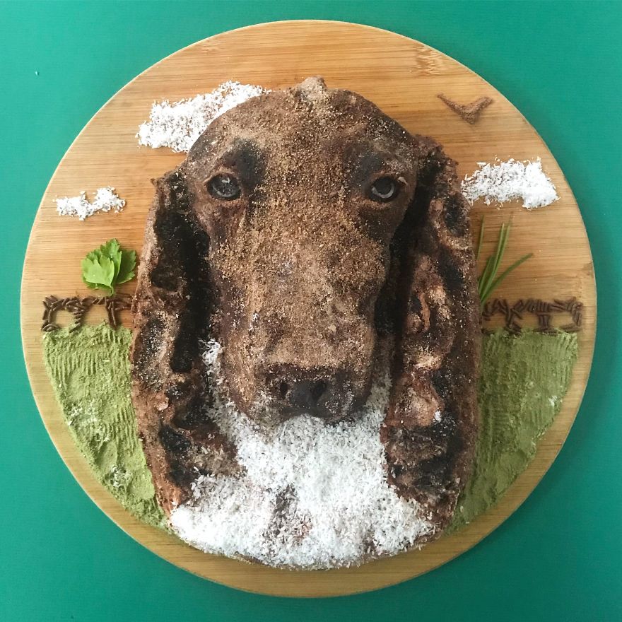 Creamy Springer Spaniël