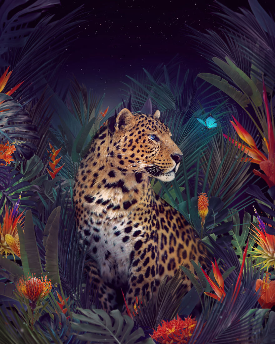 Into The Jungle