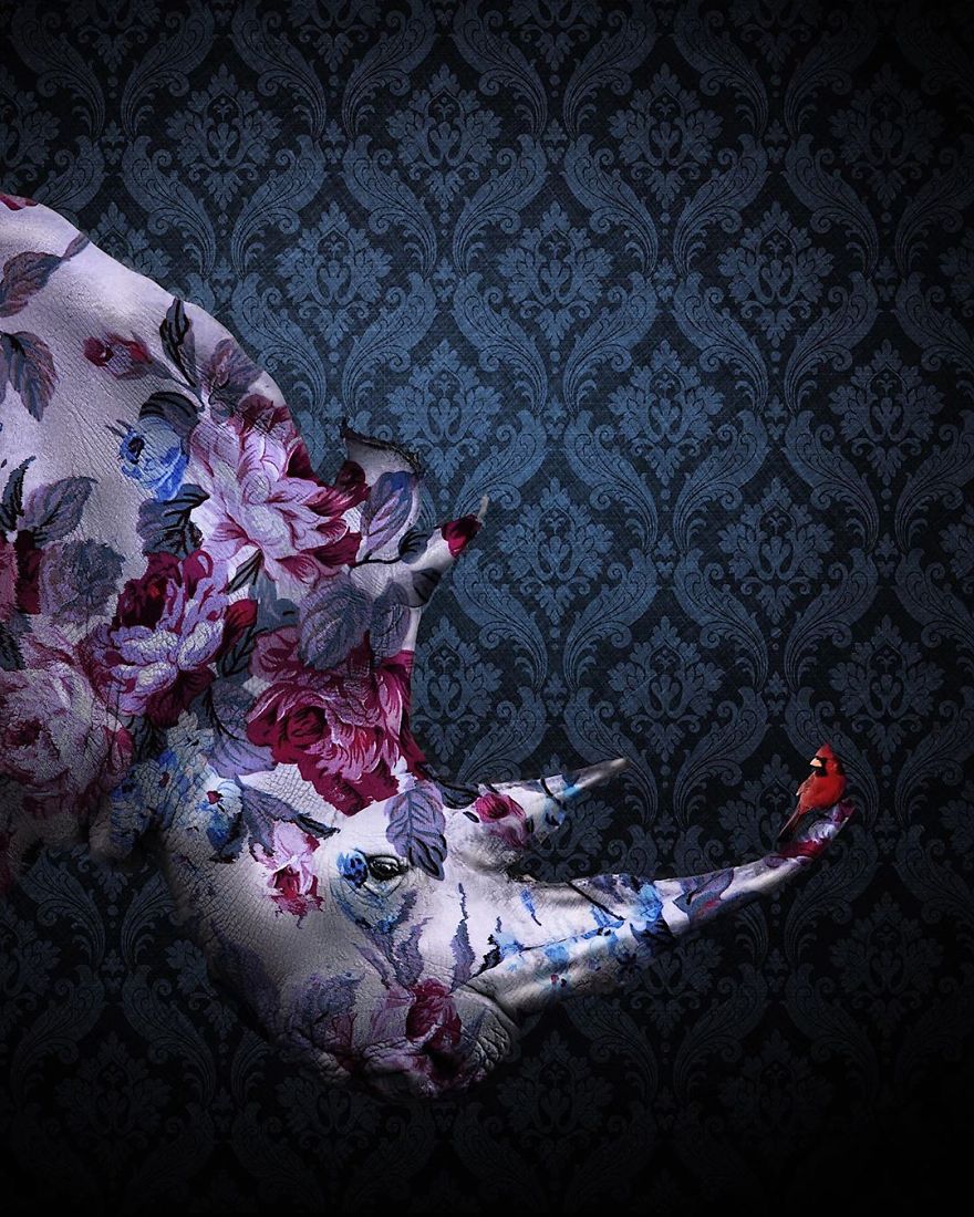 Before They Pass Away