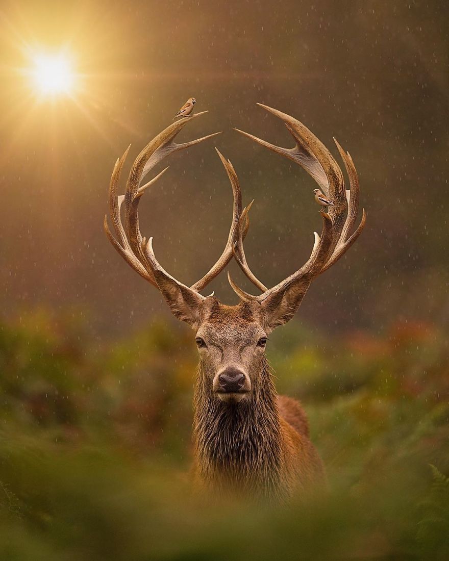 A Piece Of Peace, My Dear