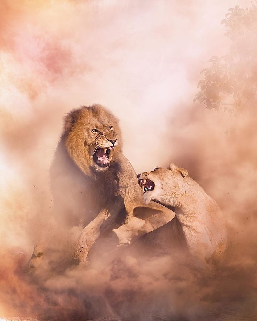 Fighting For Survival