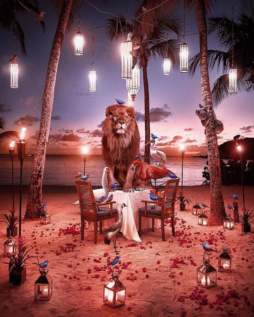 Top Of The Food Chain