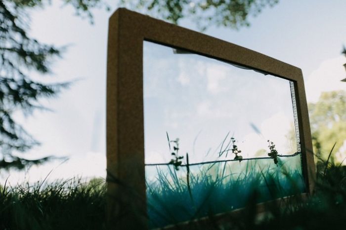 I Made This Self-Sustainable Ecosystem In A Cork Frame