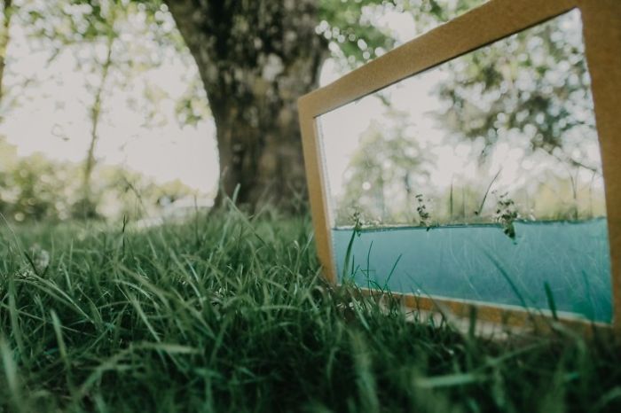 I Made This Self-Sustainable Ecosystem In A Cork Frame