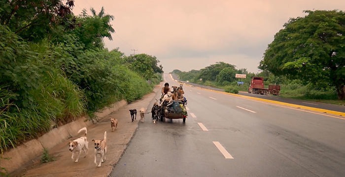 I Saw A Man Who Walks With A Trolley Around Mexico Saving Hundreds Of Homeless Dogs And His Story Touched Me I Saw A Man Who Walks With A Trolley Around Mexico Saving Hundreds Of Homeless Dogs And His Story Touched Me