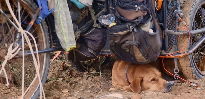 I Saw A Man Who Walks With A Trolley Around Mexico Saving Hundreds Of Homeless Dogs And His Story Touched Me I Saw A Man Who Walks With A Trolley Around Mexico Saving Hundreds Of Homeless Dogs And His Story Touched Me