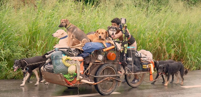 I Saw A Man Who Walks With A Trolley Around Mexico Saving Hundreds Of Homeless Dogs And His Story Touched Me I Saw A Man Who Walks With A Trolley Around Mexico Saving Hundreds Of Homeless Dogs And His Story Touched Me