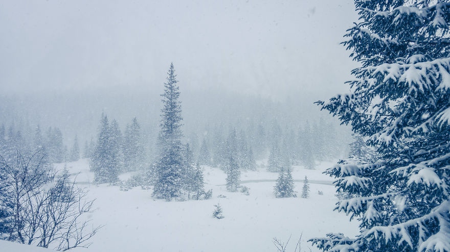 I Tried To Get To This Place Three Winters In A Row And I Never Succeeded. I Tried To Get To This Place Three Winters In A Row And I Never Succeeded.