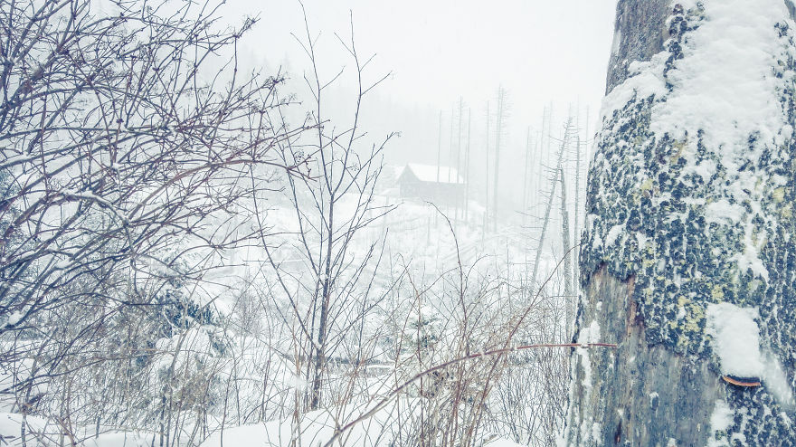 I Tried To Get To This Place Three Winters In A Row And I Never Succeeded. I Tried To Get To This Place Three Winters In A Row And I Never Succeeded.