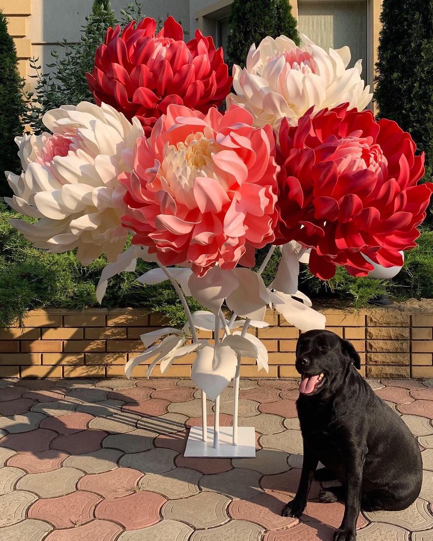 Start Up At 47 Y.o. Giant Flowers Bloom In Her Hands Start Up At 47 Y.o. Giant Flowers Bloom In Her Hands