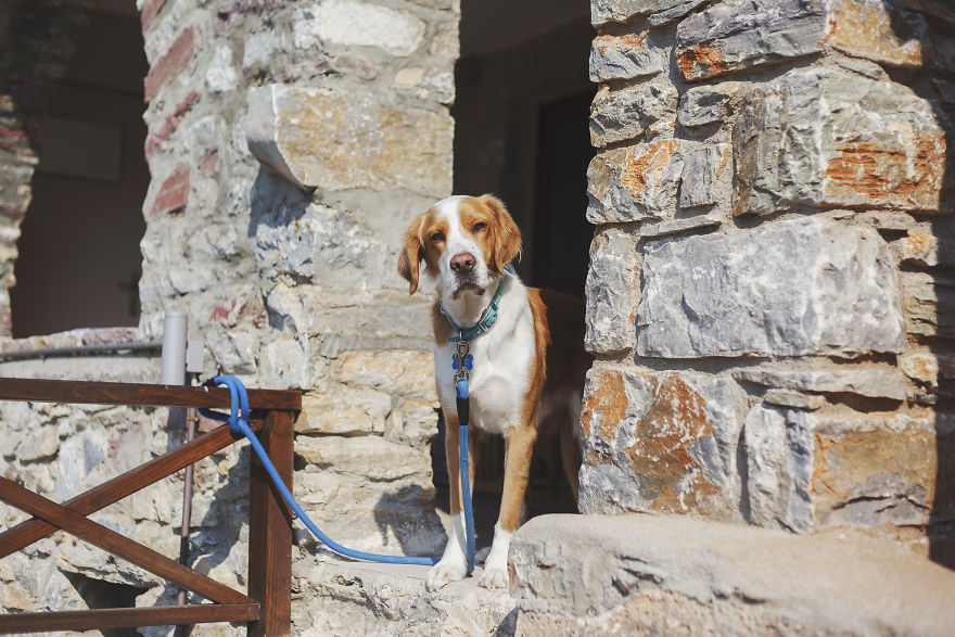 Our Short Road Trip To A Well Kept Secret Of Greece - Mani Peninsula