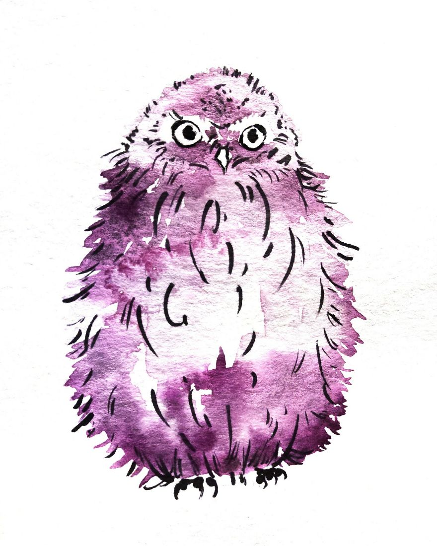 I Can't Stop Painting Owls (27 New Pics)