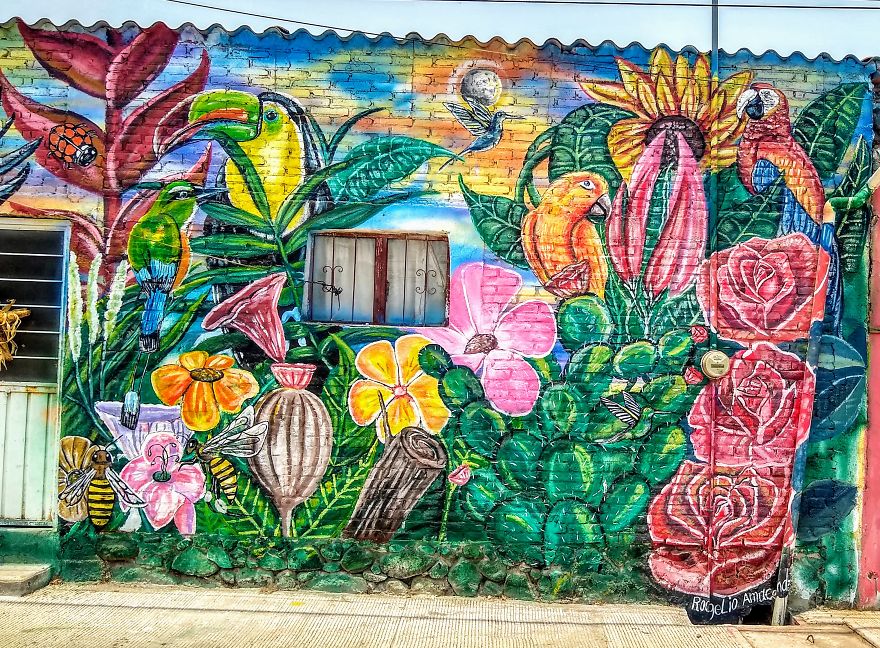 Who Said You Can't Have A Nice Garden In A Humble House?