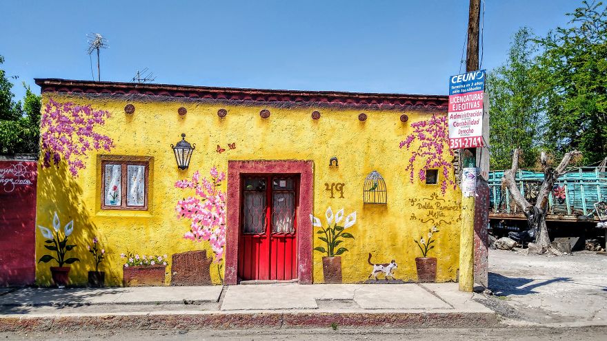 You Can Always Have A Nice House. And Even With A Cat