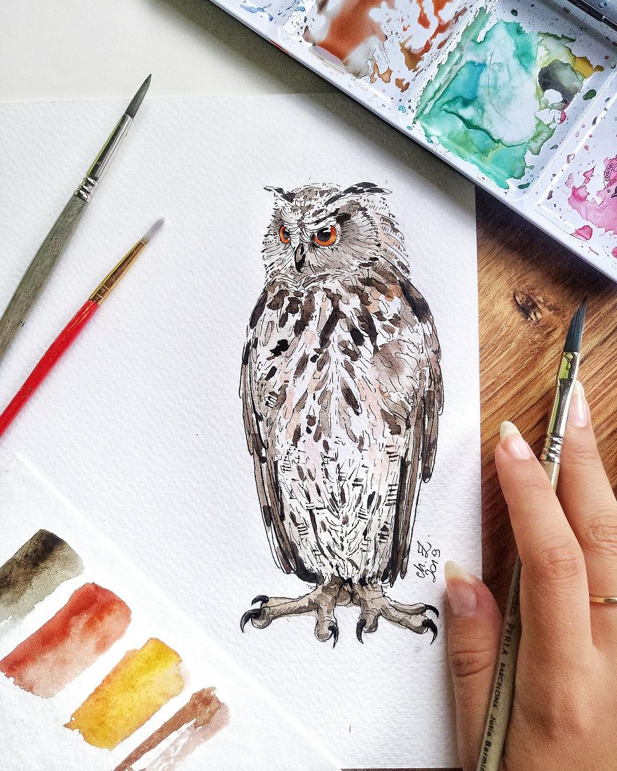 I Can't Stop Painting Owls (27 New Pics)