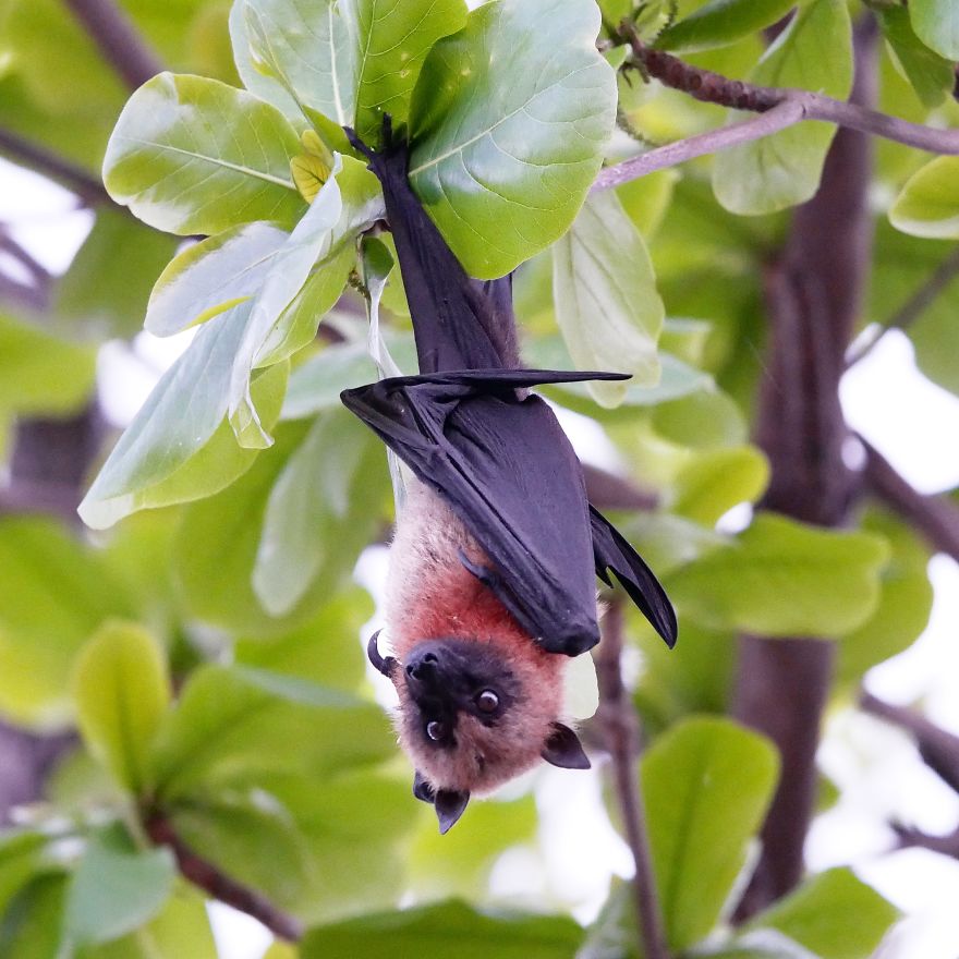 Welcome To The 'Perfume Islands,' One Of The Most Beautiful Yet Least Visited Countries In The World Welcome To The 'Perfume Islands,' One Of The Most Beautiful Yet Least Visited Countries In The World