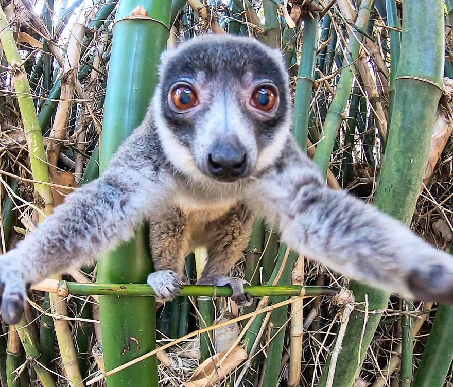 Welcome To The 'Perfume Islands,' One Of The Most Beautiful Yet Least Visited Countries In The World Welcome To The 'Perfume Islands,' One Of The Most Beautiful Yet Least Visited Countries In The World