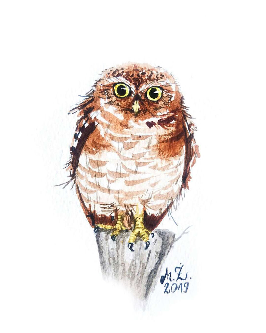 I Can't Stop Painting Owls (27 New Pics)