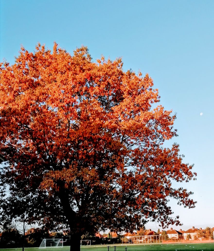 Before Autumn Started