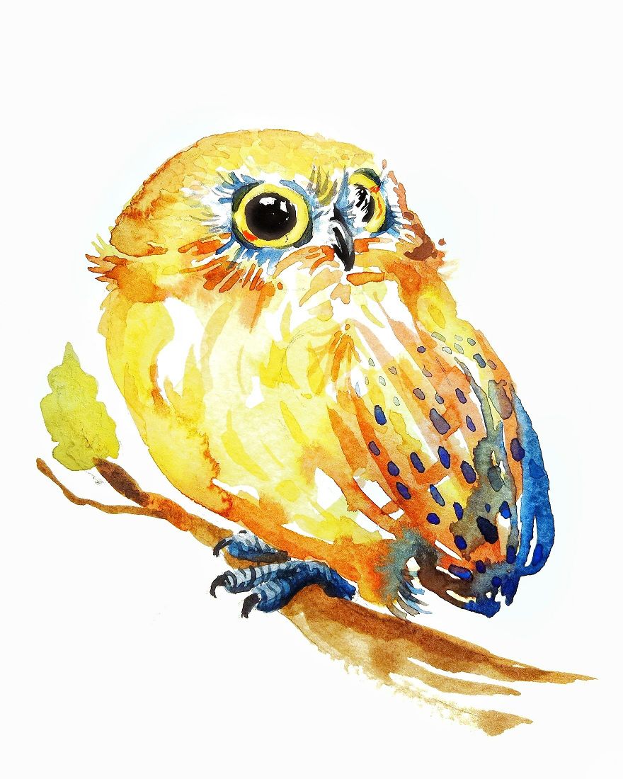 I Can't Stop Painting Owls (27 New Pics)