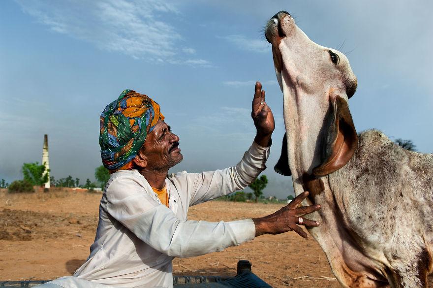 The Special Bond Between Humans And Animals Portrayed By Steve Mccurry