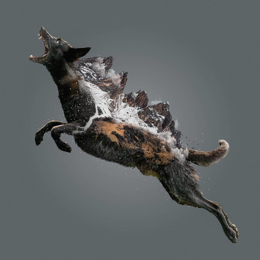 Indonesian Artist Uses Photoshop To Show A Surreal Image Of Animals