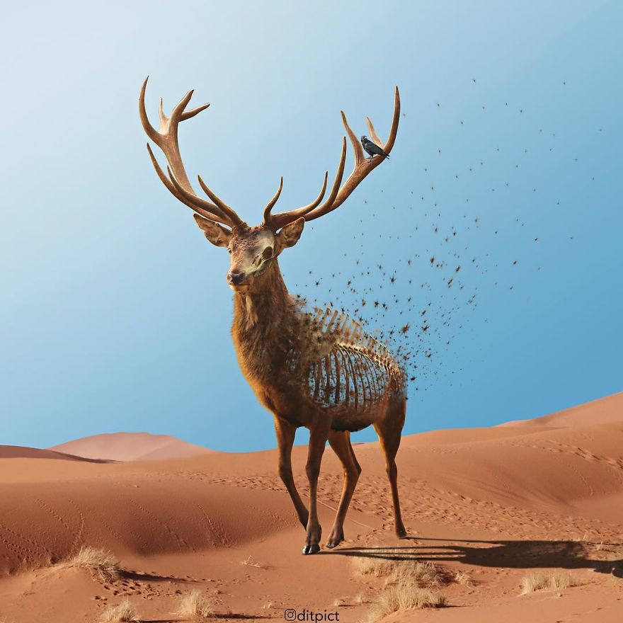 Indonesian Artist Uses Photoshop To Show A Surreal Image Of Animals